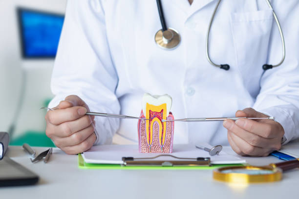 Best Emergency Dentist for Knocked-Out Tooth in Cave Springs, AR